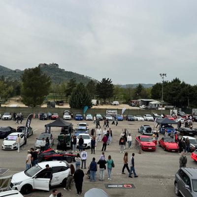 46